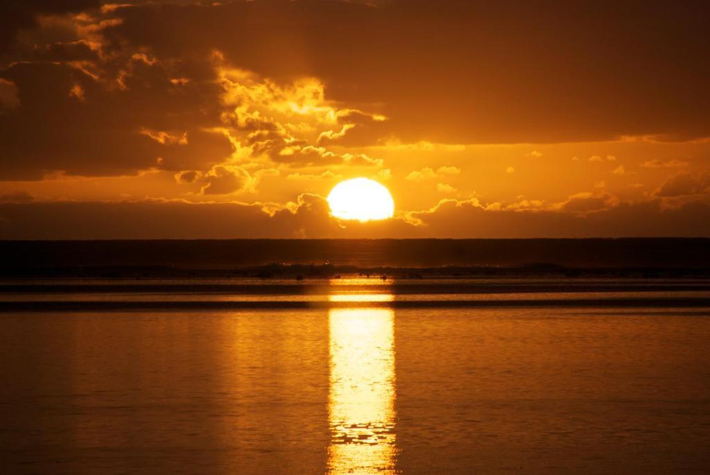 The Black Pearl Beachside Apartments Rarotonga Exteriör bild